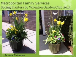 DWN Metropolitan Family Services and Child Adv. Ctr.  - Spring Planters by Wheaton 4-29-13