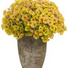 4.5"P - Petunia - Supertunia - Honey - Image 2